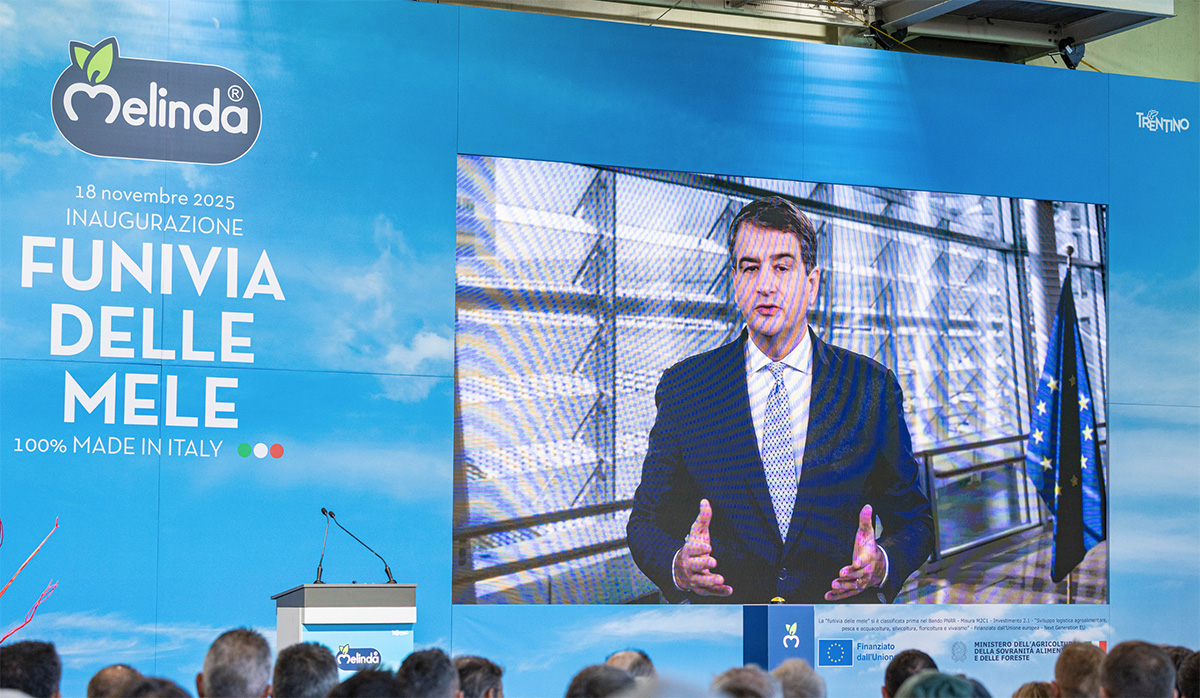 Raffaele Fitto, vicepresidente esecutivo della Commissione europea